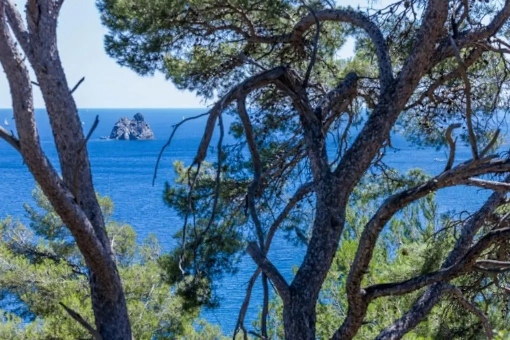 Studio Calme Cadre Nature A Proximite Des Plages La Seyne-sur-Mer Apartment